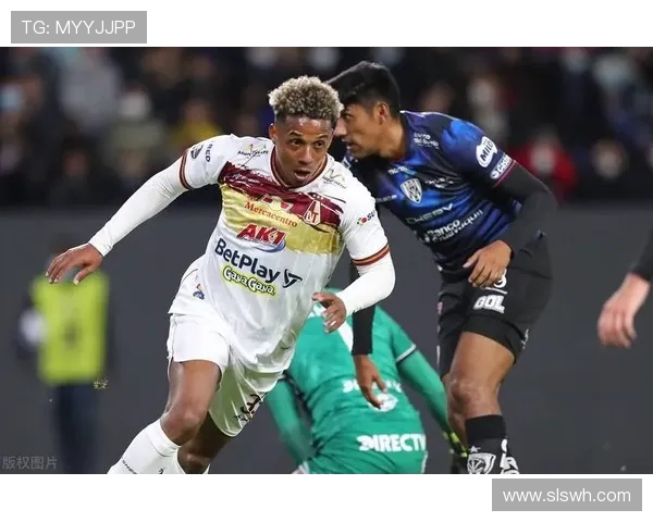 世界网球联赛简介及其赛事类型分析与发展趋势探讨 世界网球联赛简介及其赛事类型分析与发展趋势探讨