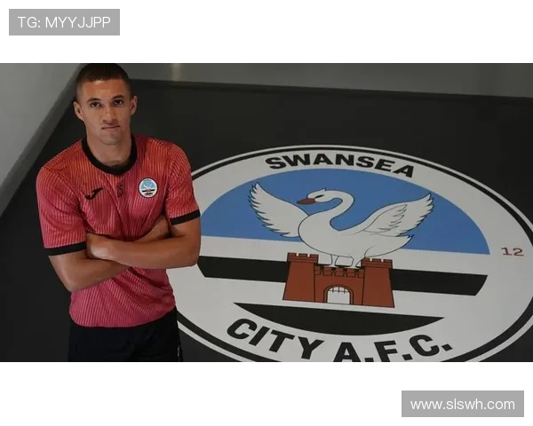 全面解析斯旺西俱乐部的历史传承与未来发展前景探索深度分析之路 全面解析斯旺西俱乐部的历史传承与未来发展前景探索深度分析之路